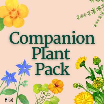 Companion Planting Pack
